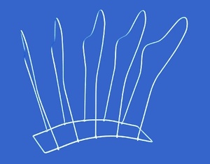 Ekspozytor na skarpety